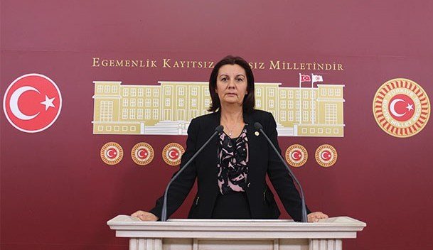 CHP GENEL BASKAN YARDIMCISI PROF DR LALE KARABIYIK CHP GENEL BASKAN YARDIMCISI PROF DR LALE KARABIYIK