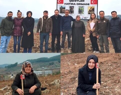 HARMANCIKLI SEHiT EMRE SEViNC iCiN SEHiTLER HATIRA ORMANINDA FiDAN DiKiLDi ORMAN BOLGE MUDURLUGU HARMANCIKLI SEHiT EMRE SEViNC iCiN SEHiTLER HATIRA ORMANINDA FiDAN DiKiLDi ORMAN BOLGE MUDURLUGU