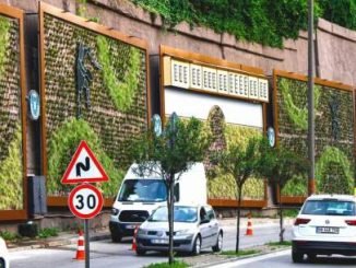 IRGANDI KÖPRÜSÜ ÖNÜNDEKi YOLDA DiKEY BAHÇELER GÜZELLiĞi