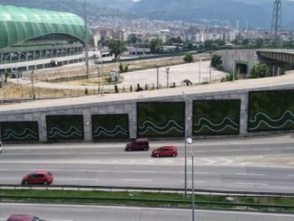 ACEMLER KÖPRÜLÜ KAVŞAĞI DiKEY BAHÇELERi