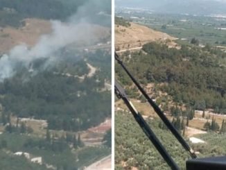 BURSA'DA GÜNDE AYLRI NOKTADA ORMAN YANGINI ERKEN MÜDAHALEYLE ÖNLENDi