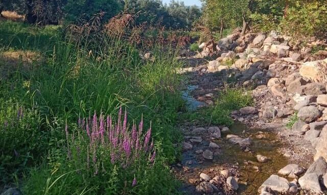 SEL VE HEYELAN YENiSÖLÖZ'DE DERE YATAĞINI DEĞiŞTiRDi SEL VE HEYELAN YENiSÖLÖZ'DE DERE YATAĞINI DEĞiŞTiRDi