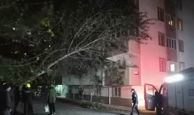LODOS GECE AĞAÇLARI BiNALARIN ÜSTÜNE DEViRDi LODOS GECE AĞAÇLARI BiNALARIN ÜSTÜNE DEViRDi