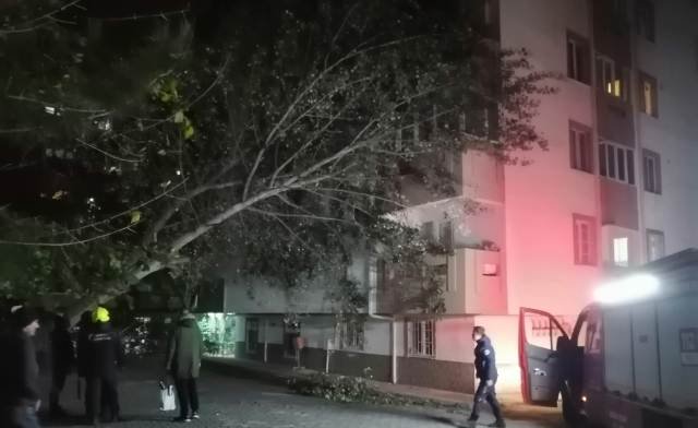 LODOS GECE AĞAÇLARI BiNALARIN ÜSTÜNE DEViRDi LODOS GECE AĞAÇLARI BiNALARIN ÜSTÜNE DEViRDi