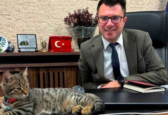 4 KÜLTÜR A.Ş. GENEL MÜDÜRÜ YANKI iÇÖZ VE KURUMUN SAHiPLENDi KEDi KÜLTÜR