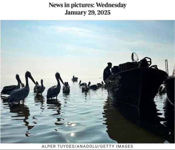 6 THE TIMES GAZETESİ ALPER TÜYDEŞ FOTOĞRAFI HAFTANIN FOTOĞRAFI OLARAK YAYNLADI