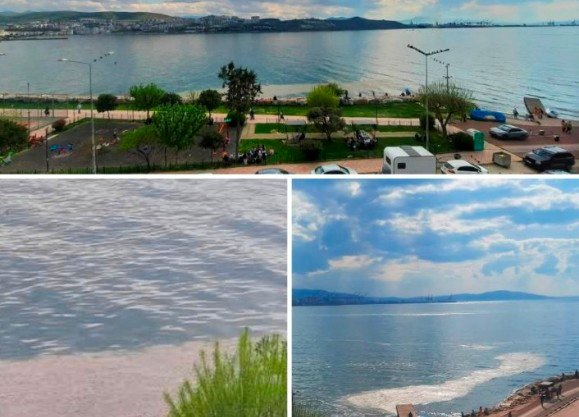 5 GEMLiK KÖRFEZi’NDE SULAR ISINMADAN MÜSiLAJ GERi DÖNDÜ 5 GEMLiK KÖRFEZi’NDE SULAR ISINMADAN MÜSiLAJ GERi DÖNDÜ