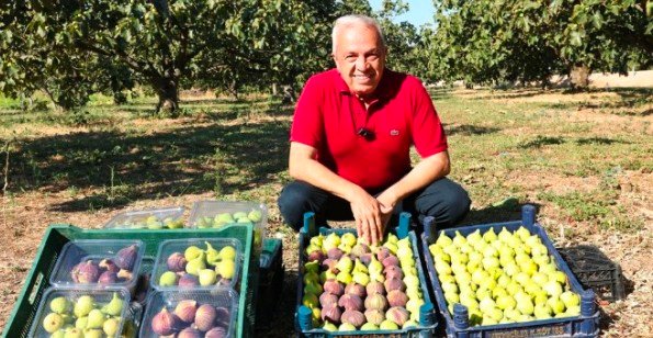 1 NiLÜFER BELEDiYE BAŞKANI ŞADi ÖZDEMiR iNCiR HASADINDA
