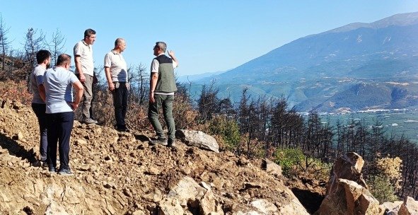 5 BURSA ORMAN BÖLGE MÜDÜRÜ ERDAL ŞAHAN GÜRSU'DA YANAN ORMAN ALANLARI TEMİLİK ÇALIŞMALARINI İNCELEDİ